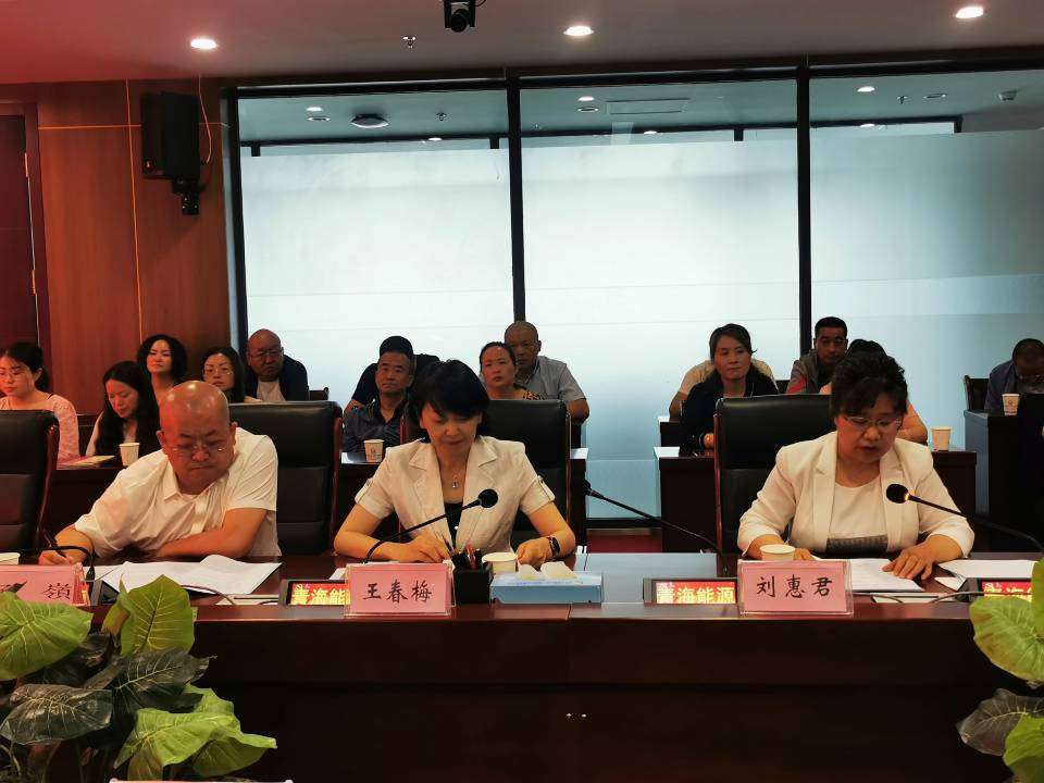 集團公司領(lǐng)導(dǎo)班子述職  程彩琳攝.jpg